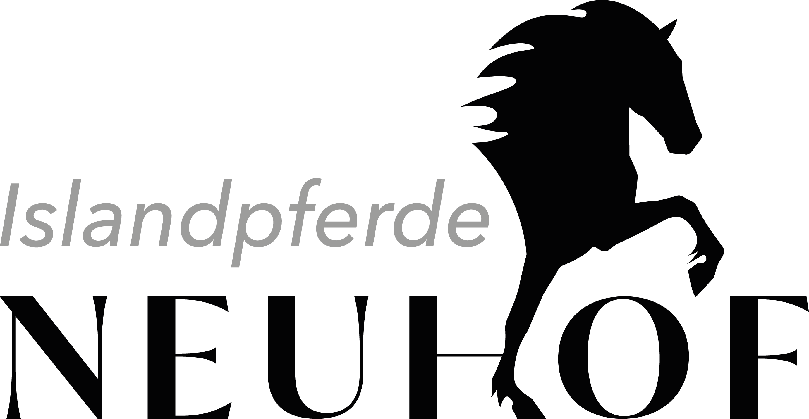 Islandpferde Neuhof
